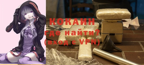 ГАЛЛЮЦИНОГЕННЫЕ ГРИБЫ Арсеньев