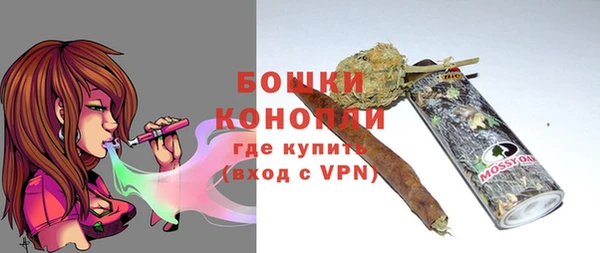 ГАЛЛЮЦИНОГЕННЫЕ ГРИБЫ Арсеньев