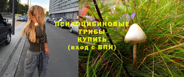 мяу мяу мука Армянск