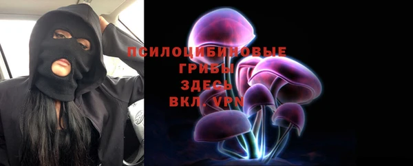 ГАЛЛЮЦИНОГЕННЫЕ ГРИБЫ Арсеньев