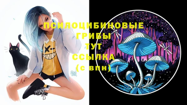 мяу мяу мука Армянск