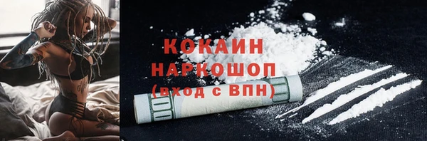 гашик Покров