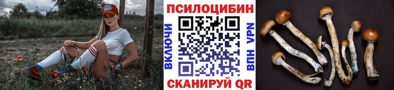 Галлюциногенные грибы Magic Shrooms где купить blacksprut как войти Почеп